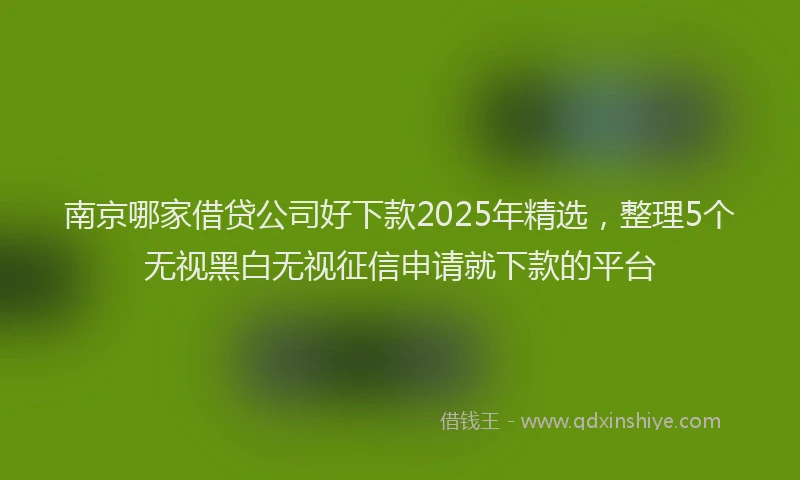 南京哪家借贷公司好下款2025年精选，整理5个无视黑白无视征信申请就下款的平台