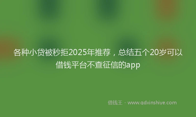 各种小贷被秒拒2025年推荐，总结五个20岁可以借钱平台不查征信的app