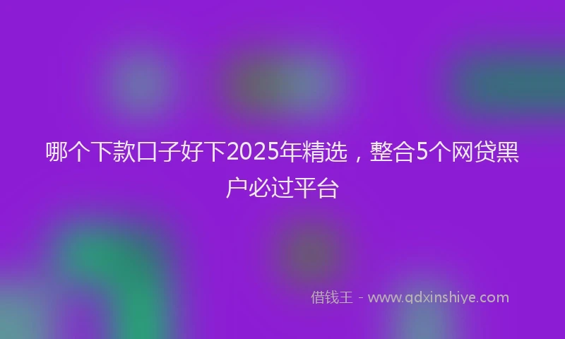 哪个下款口子好下2025年精选，整合5个网贷黑户必过平台