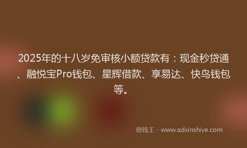 2025年的十八岁免审核小额贷款有：现金秒贷通、融悦宝Pro钱包、星辉借款、享易达、快鸟钱包等。