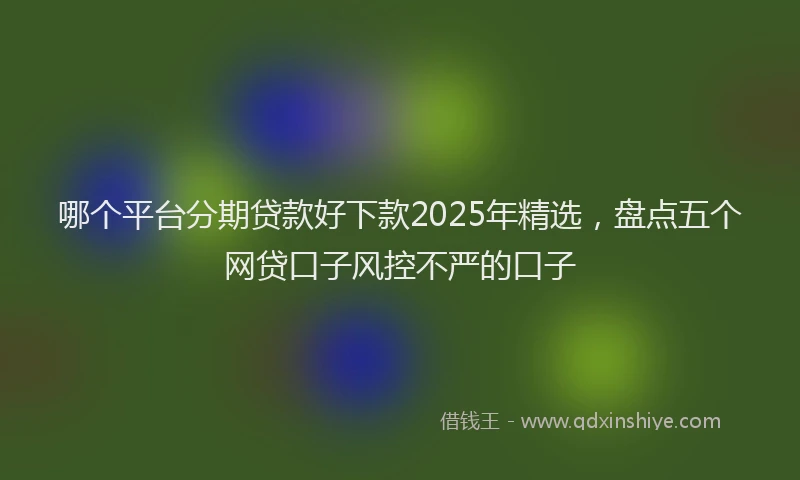 哪个平台分期贷款好下款2025年精选，盘点五个网贷口子风控不严的口子