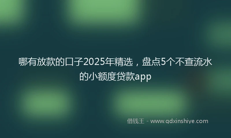 哪有放款的口子2025年精选，盘点5个不查流水的小额度贷款app