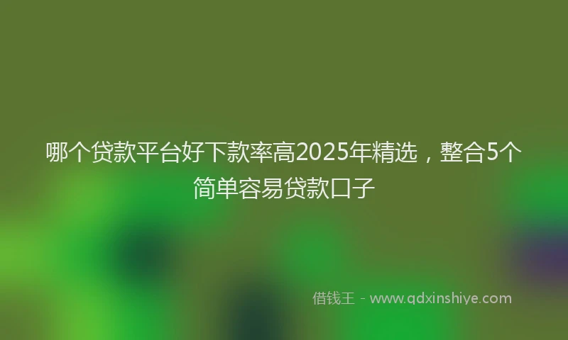 哪个贷款平台好下款率高2025年精选，整合5个简单容易贷款口子