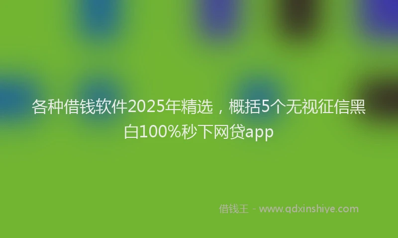 各种借钱软件2025年精选，概括5个无视征信黑白100%秒下网贷app