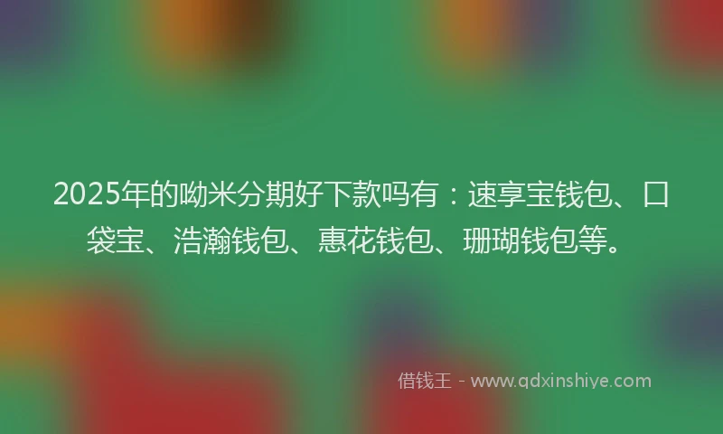 2025年的呦米分期好下款吗有：速享宝钱包、口袋宝、浩瀚钱包、惠花钱包、珊瑚钱包等。