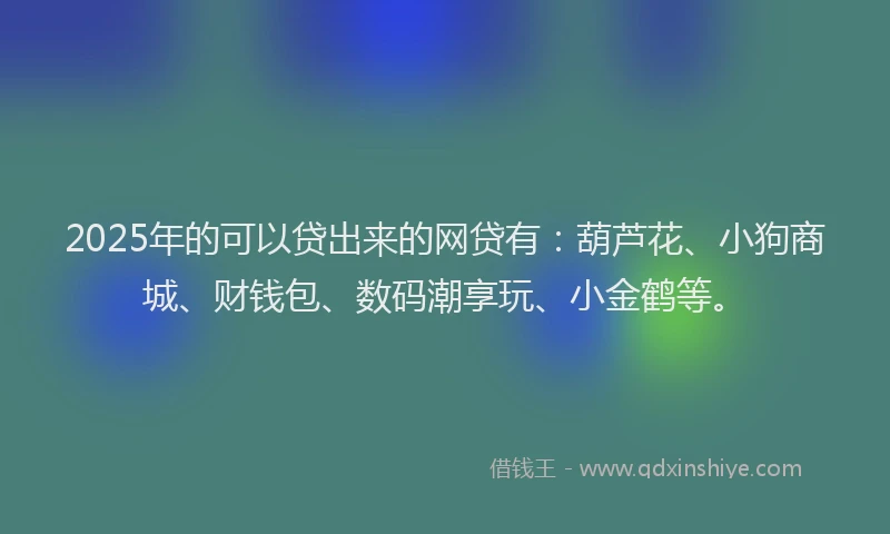 2025年的可以贷出来的网贷有：葫芦花、小狗商城、财钱包、数码潮享玩、小金鹤等。