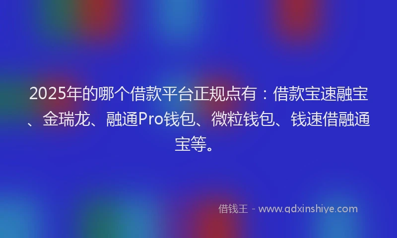 2025年的哪个借款平台正规点有：借款宝速融宝、金瑞龙、融通Pro钱包、微粒钱包、钱速借融通宝等。