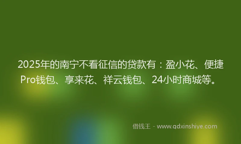 2025年的南宁不看征信的贷款有：盈小花、便捷Pro钱包、享来花、祥云钱包、24小时商城等。