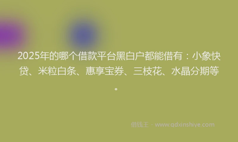 2025年的哪个借款平台黑白户都能借有：小象快贷、米粒白条、惠享宝券、三枝花、水晶分期等。