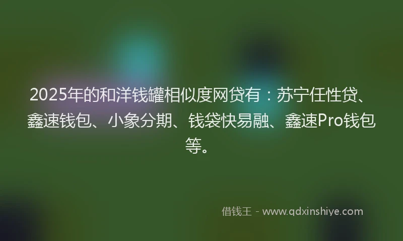 2025年的和洋钱罐相似度网贷有：苏宁任性贷、鑫速钱包、小象分期、钱袋快易融、鑫速Pro钱包等。
