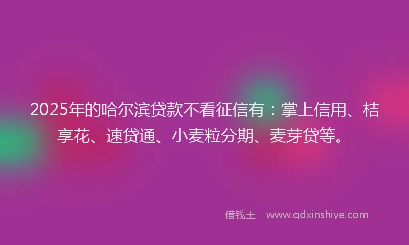 2025年的哈尔滨贷款不看征信有：掌上信用、桔享花、速贷通、小麦粒分期、麦芽贷等。