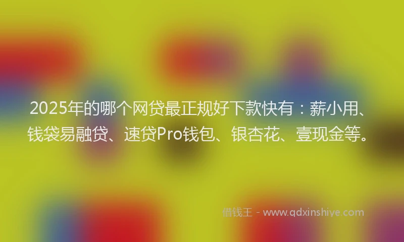 2025年的哪个网贷最正规好下款快有：薪小用、钱袋易融贷、速贷Pro钱包、银杏花、壹现金等。