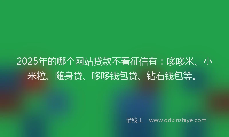 2025年的哪个网站贷款不看征信有：哆哆米、小米粒、随身贷、哆哆钱包贷、钻石钱包等。