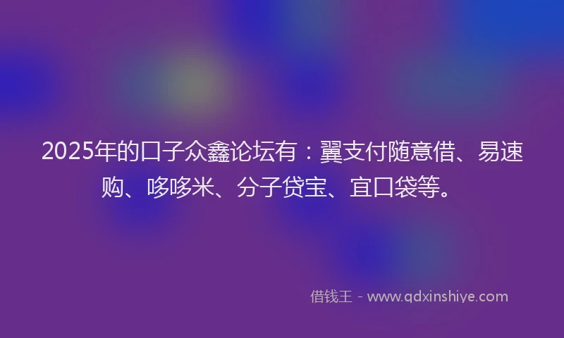 2025年的口子众鑫论坛有：翼支付随意借、易速购、哆哆米、分子贷宝、宜口袋等。