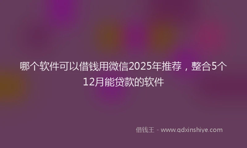 哪个软件可以借钱用微信2025年推荐，整合5个12月能贷款的软件