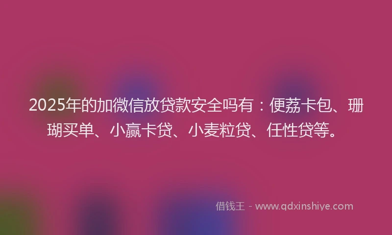 2025年的加微信放贷款安全吗有：便荔卡包、珊瑚买单、小赢卡贷、小麦粒贷、任性贷等。