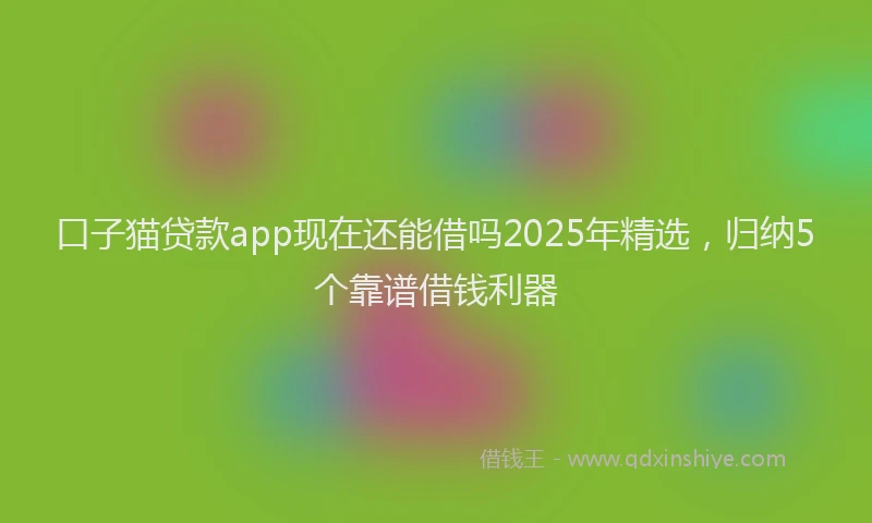 口子猫贷款app现在还能借吗2025年精选，归纳5个靠谱借钱利器