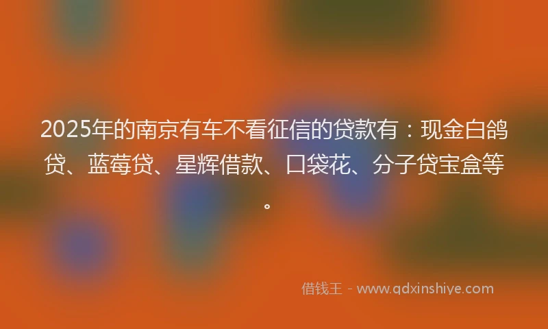 2025年的南京有车不看征信的贷款有：现金白鸽贷、蓝莓贷、星辉借款、口袋花、分子贷宝盒等。