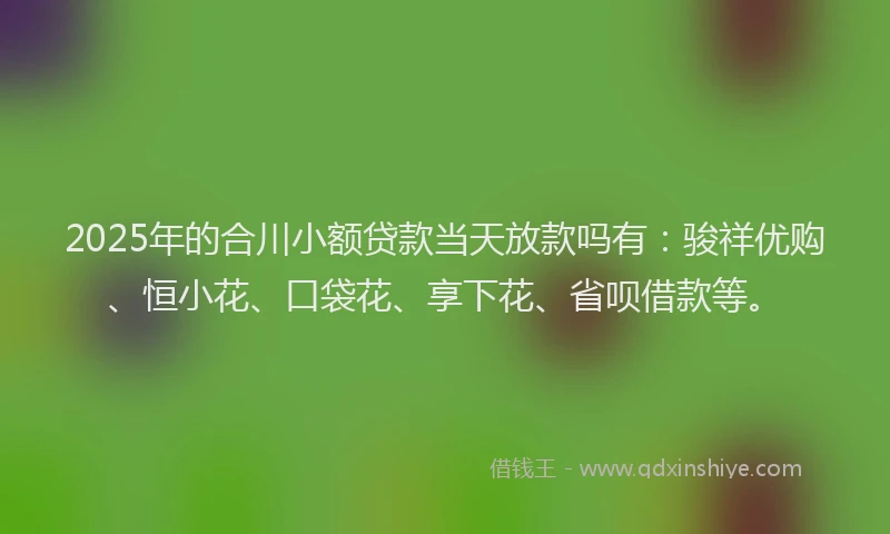 2025年的合川小额贷款当天放款吗有：骏祥优购、恒小花、口袋花、享下花、省呗借款等。