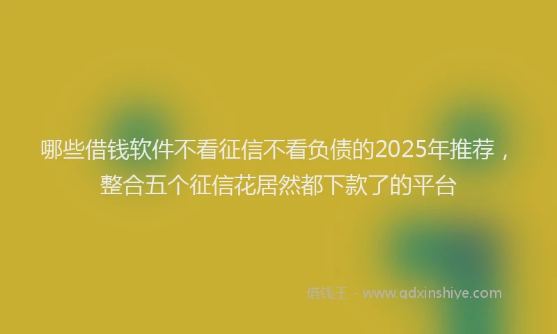 哪些借钱软件不看征信不看负债的2025年推荐，整合五个征信花居然都下款了的平台