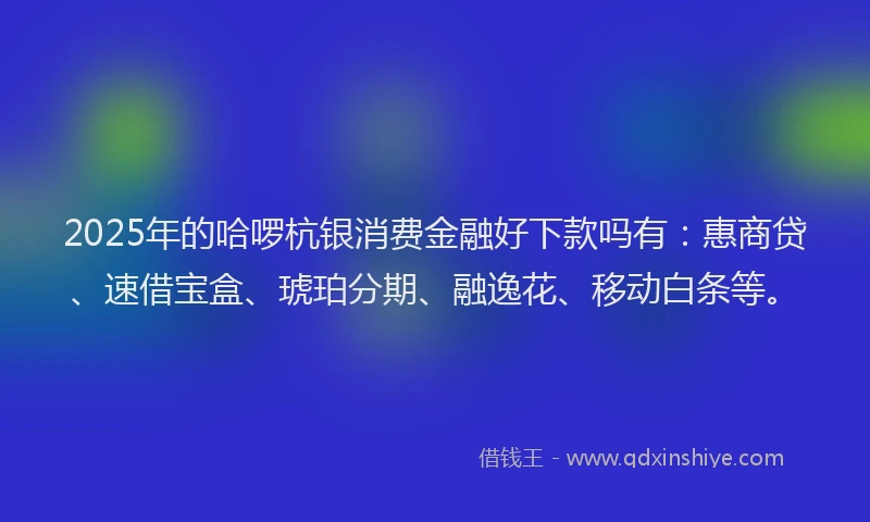 2025年的哈啰杭银消费金融好下款吗有：惠商贷、速借宝盒、琥珀分期、融逸花、移动白条等。