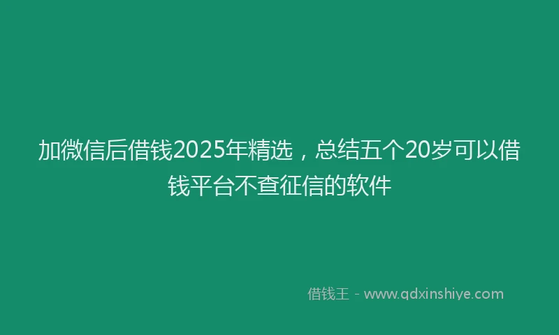 加微信后借钱2025年精选，总结五个20岁可以借钱平台不查征信的软件