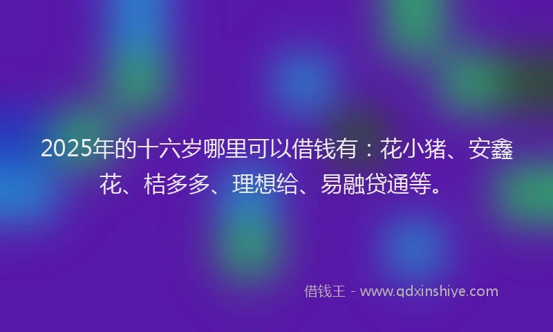 2025年的十六岁哪里可以借钱有：花小猪、安鑫花、桔多多、理想给、易融贷通等。