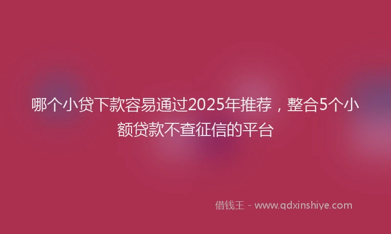 哪个小贷下款容易通过2025年推荐，整合5个小额贷款不查征信的平台