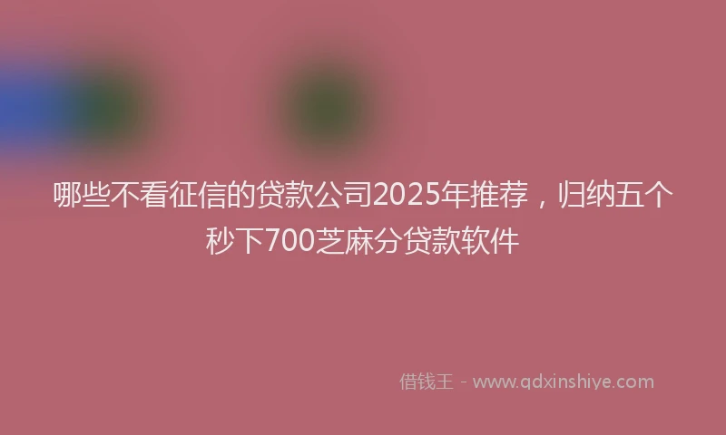 哪些不看征信的贷款公司2025年推荐，归纳五个秒下700芝麻分贷款软件