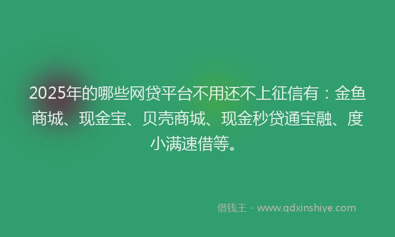 2025年的哪些网贷平台不用还不上征信有：金鱼商城、现金宝、贝壳商城、现金秒贷通宝融、度小满速借等。