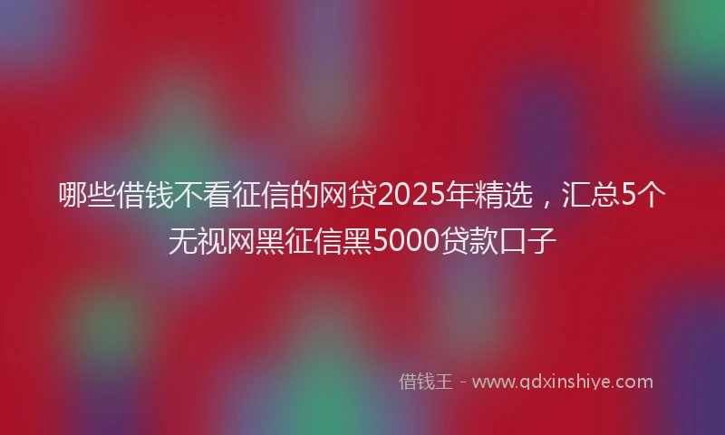 哪些借钱不看征信的网贷2025年精选，汇总5个无视网黑征信黑5000贷款口子