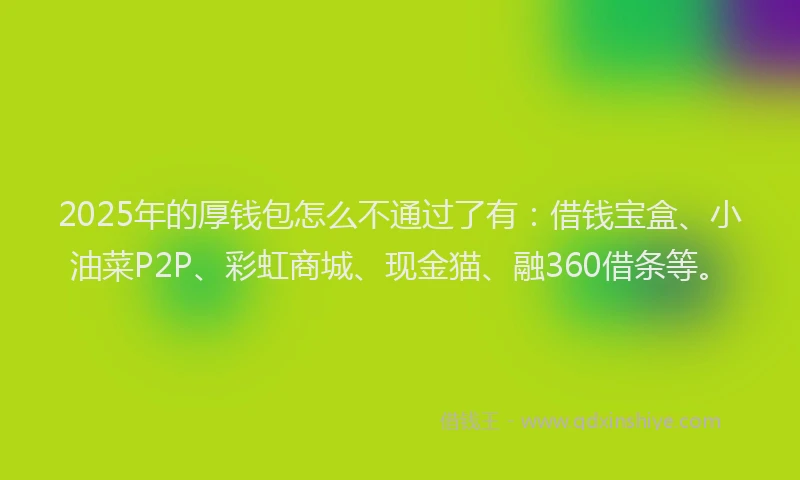 2025年的厚钱包怎么不通过了有：借钱宝盒、小油菜P2P、彩虹商城、现金猫、融360借条等。