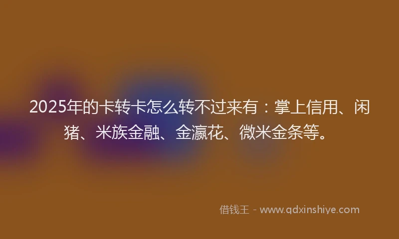 2025年的卡转卡怎么转不过来有：掌上信用、闲猪、米族金融、金瀛花、微米金条等。
