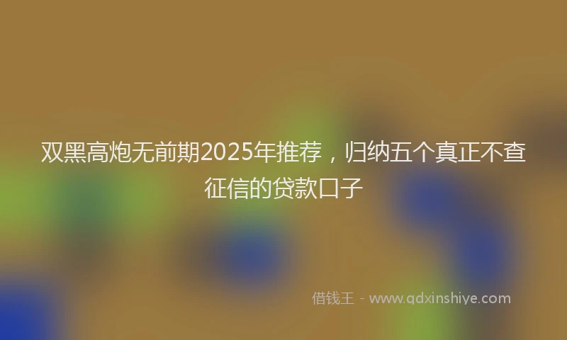 双黑高炮无前期2025年推荐，归纳五个真正不查征信的贷款口子