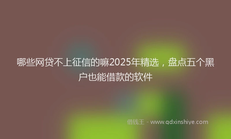 哪些网贷不上征信的嘛2025年精选，盘点五个黑户也能借款的软件
