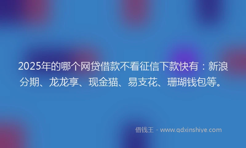 2025年的哪个网贷借款不看征信下款快有：新浪分期、龙龙享、现金猫、易支花、珊瑚钱包等。