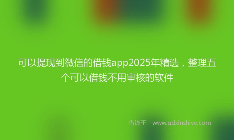 可以提现到微信的借钱app2025年精选，整理五个可以借钱不用审核的软件