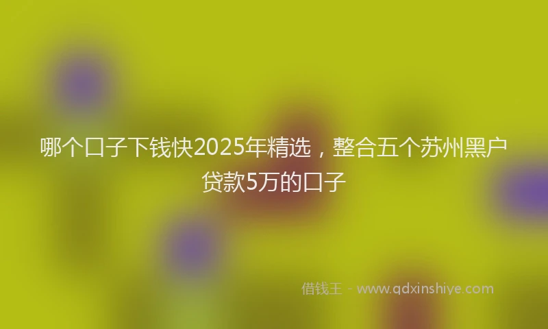 哪个口子下钱快2025年精选，整合五个苏州黑户贷款5万的口子