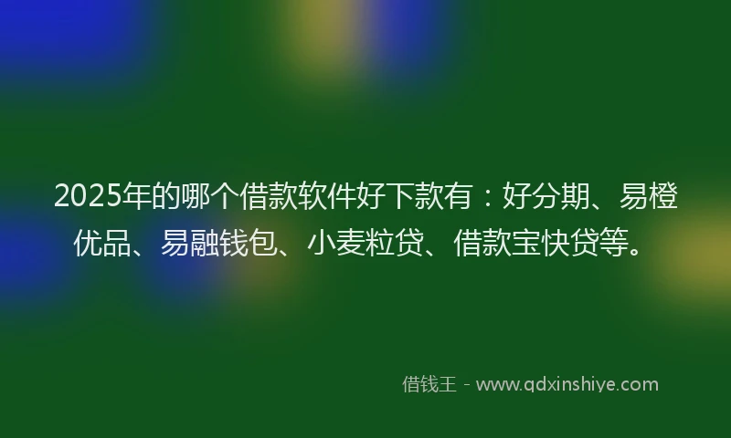 2025年的哪个借款软件好下款有：好分期、易橙优品、易融钱包、小麦粒贷、借款宝快贷等。