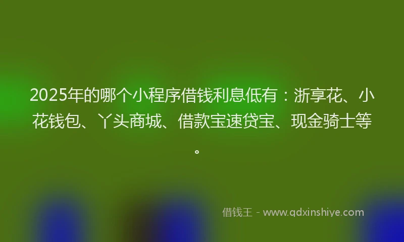 2025年的哪个小程序借钱利息低有：浙享花、小花钱包、丫头商城、借款宝速贷宝、现金骑士等。