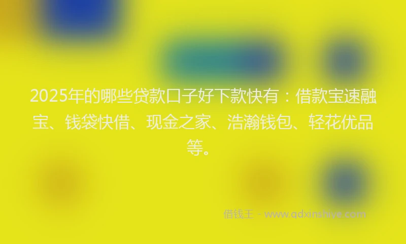 2025年的哪些贷款口子好下款快有：借款宝速融宝、钱袋快借、现金之家、浩瀚钱包、轻花优品等。