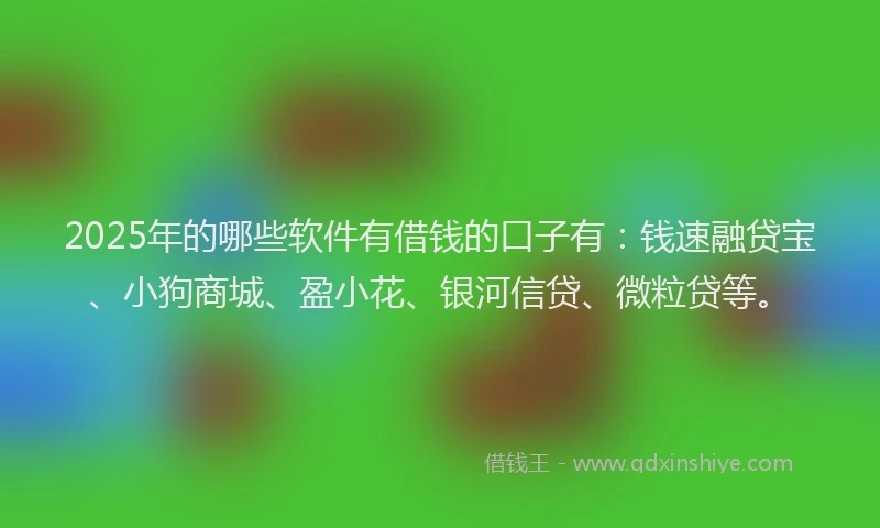 2025年的哪些软件有借钱的口子有：钱速融贷宝、小狗商城、盈小花、银河信贷、微粒贷等。