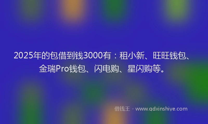 2025年的包借到钱3000有：租小新、旺旺钱包、金瑞Pro钱包、闪电购、星闪购等。