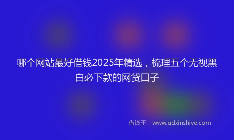 哪个网站最好借钱2025年精选，梳理五个无视黑白必下款的网贷口子