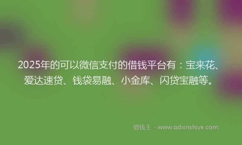 2025年的可以微信支付的借钱平台有：宝来花、爱达速贷、钱袋易融、小金库、闪贷宝融等。
