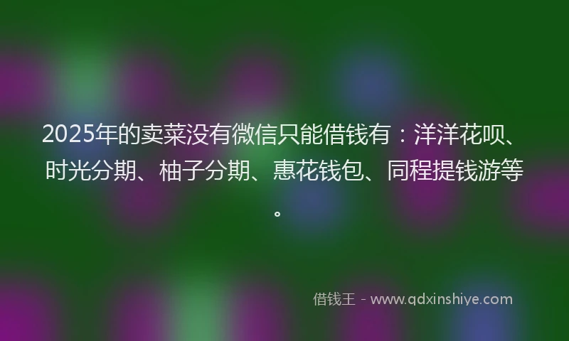 2025年的卖菜没有微信只能借钱有：洋洋花呗、时光分期、柚子分期、惠花钱包、同程提钱游等。