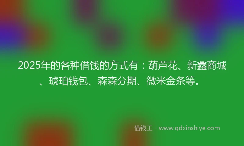 2025年的各种借钱的方式有：葫芦花、新鑫商城、琥珀钱包、森森分期、微米金条等。