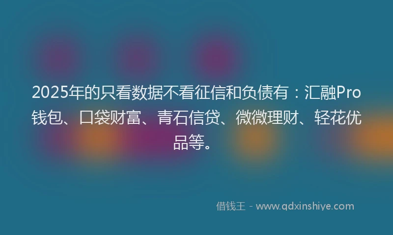 2025年的只看数据不看征信和负债有：汇融Pro钱包、口袋财富、青石信贷、微微理财、轻花优品等。