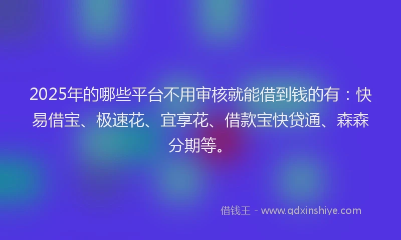 2025年的哪些平台不用审核就能借到钱的有：快易借宝、极速花、宜享花、借款宝快贷通、森森分期等。