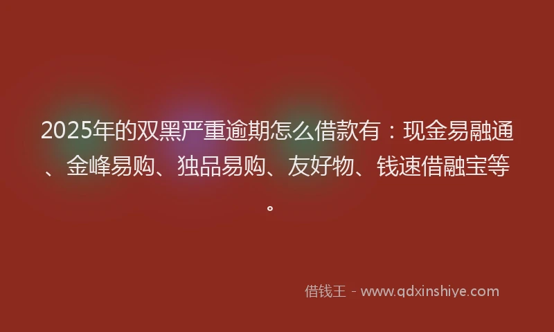 2025年的双黑严重逾期怎么借款有：现金易融通、金峰易购、独品易购、友好物、钱速借融宝等。